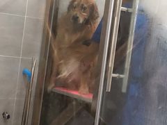 -宠福鑫康馨动物医院·骨科·眼科