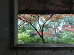 -南山植物园