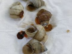 -柳蛳蛳螺蛳粉(朱辛庄TBD店)