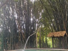-天赐温泉