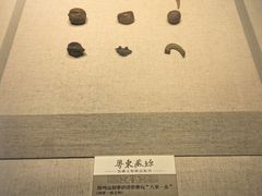 -汕头市博物馆