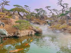 -罗红摄影艺术馆