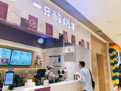 -一只酸奶牛(时代天街A馆店)