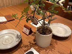 -CURRY YA 熟成咖哩專門店(深圳湾万象城店)