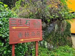 -杭州西湖风景名胜区-三生石