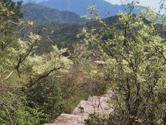 -天台山赤城山景区