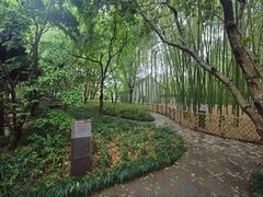 -汇龙潭