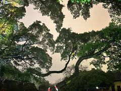 -桂林独秀峰王城景区