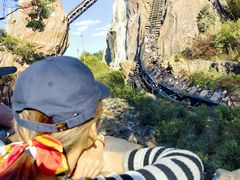 -奥兰多迪士尼动物王国乐园