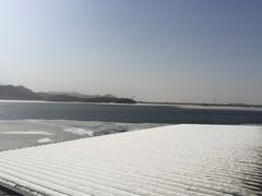 望湖烤鱼-望湖烤鱼