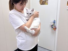 -美联众合爱康动物医院•复杂内科•肿瘤科•牙科•腔镜诊疗中心