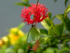 -大埔公路-马料水段香港中文大学(公交站)
