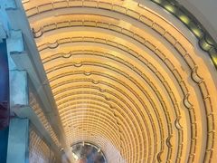 -上海金茂大厦88层观光厅