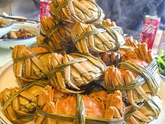 -水岸居湖景农家乐·阳澄湖大闸蟹