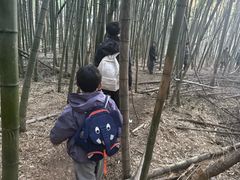 -安吉龙王山风景区
