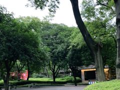 -柳侯公园