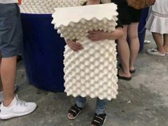 -合肥滨湖国家森林公园