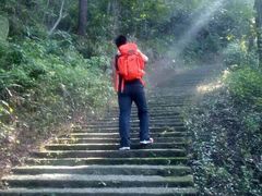 android_upload_pic-大罗山风景区