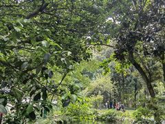 -成都市活水公园