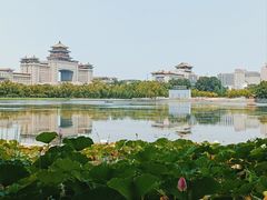 -莲花池公园