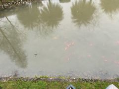 -明月山天沐温泉度假村