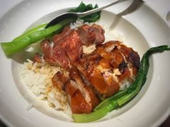 烧鸭拼叉烧饭-金鼎轩·滋养小餐馆(联想桥店)