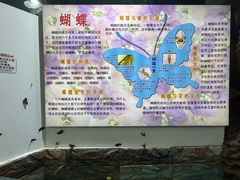 -上海大自然野生昆虫馆(东方明珠·爬宠昆虫探索中心)