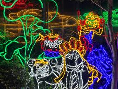 -南宫五洲植物乐园