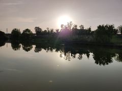 -白鹭湾湿地公园