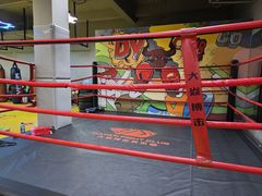 -大焱搏击·泰拳·拳击俱乐部(大柏树店)