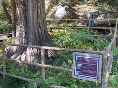 -北京上方山国家森林公园