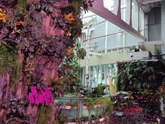 -正佳雨林生态植物园