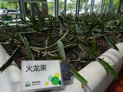 -上海多利农业发展有限公司