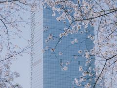 -西北湖绿化广场