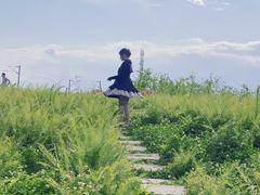 -桤木河湿地公园