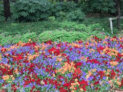 -苏州河梦清园环保主题公园