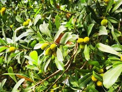 -宝岩生态观光园