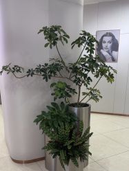 -AIST爱思特医疗美容医院