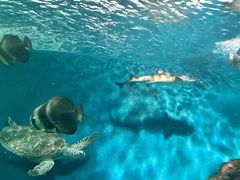 -上海海洋水族馆