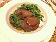 -香港会议展览中心演讲厅