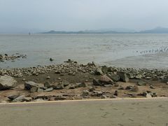 -深圳湾公园(南山区)