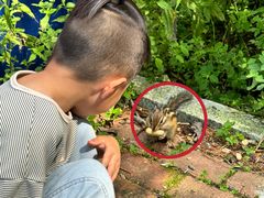 -五营红松林海景区