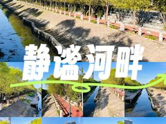 -大望京公园