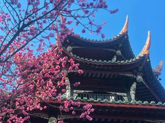 -望江楼公园