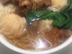 -南枝记