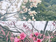 -成都蒲江花样年福朋喜来登度假酒店·宜客乐西餐厅