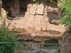 -长鹿旅游休博园