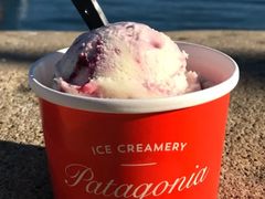 酸奶水果-Patagonia Chocolates(皇后镇店)