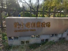 -前小桔亲子创意农场·草莓采摘·露营烧烤