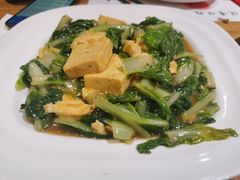 小白菜炒豆腐-晋情·游子轩(梅花路店)